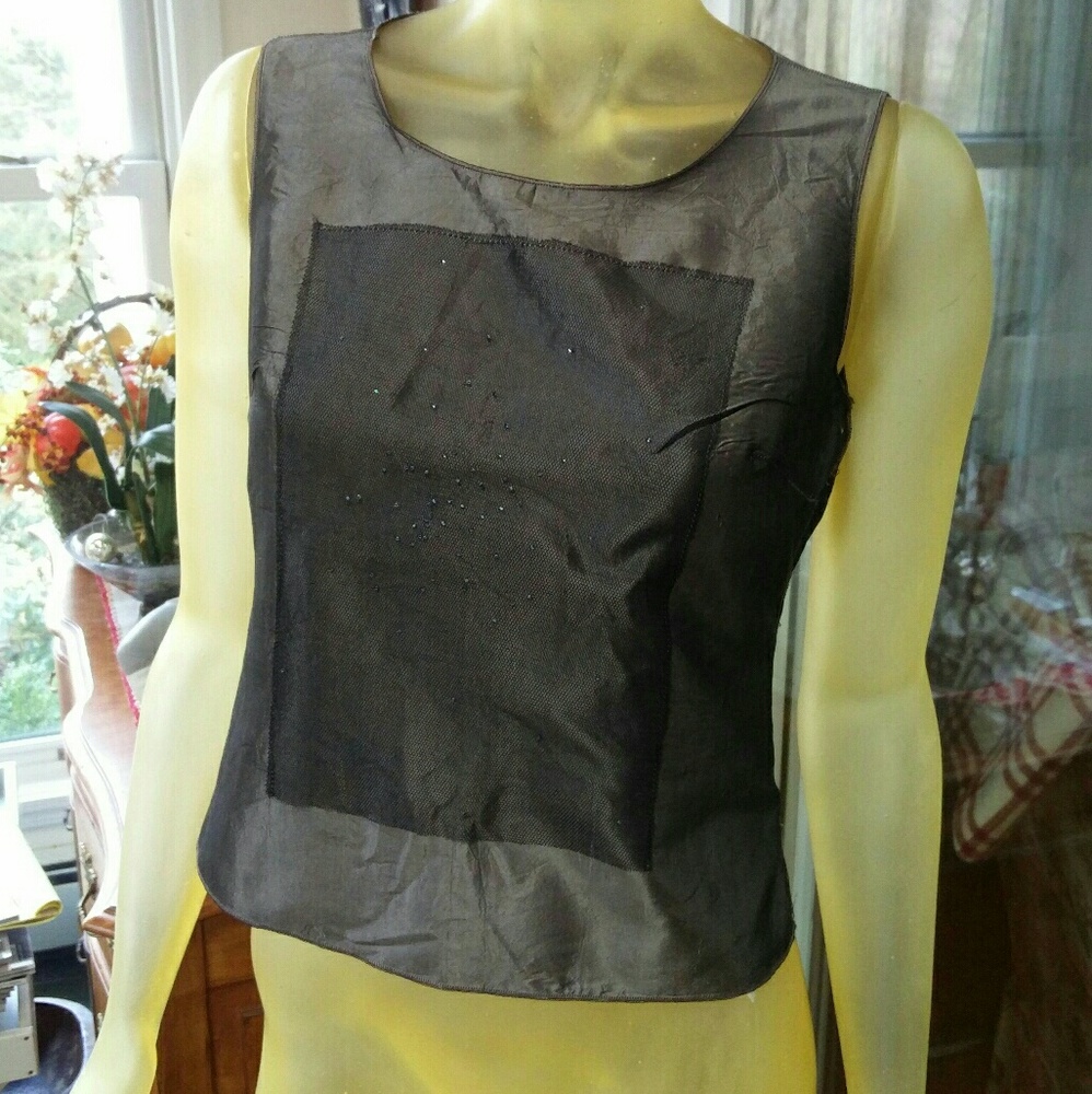 Rozae Nichols Metallic Silk Shell Size 4